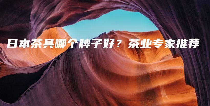 日本茶具哪个牌子好？茶业专家推荐插图