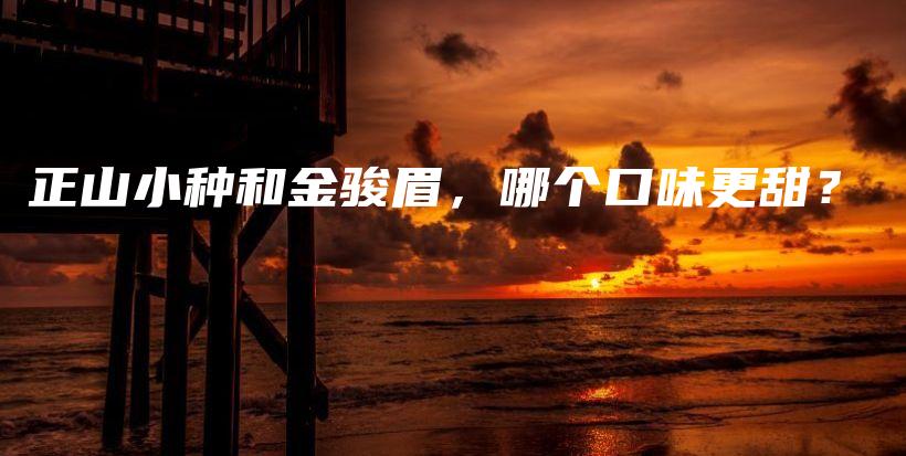 正山小种和金骏眉，哪个口味更甜？插图