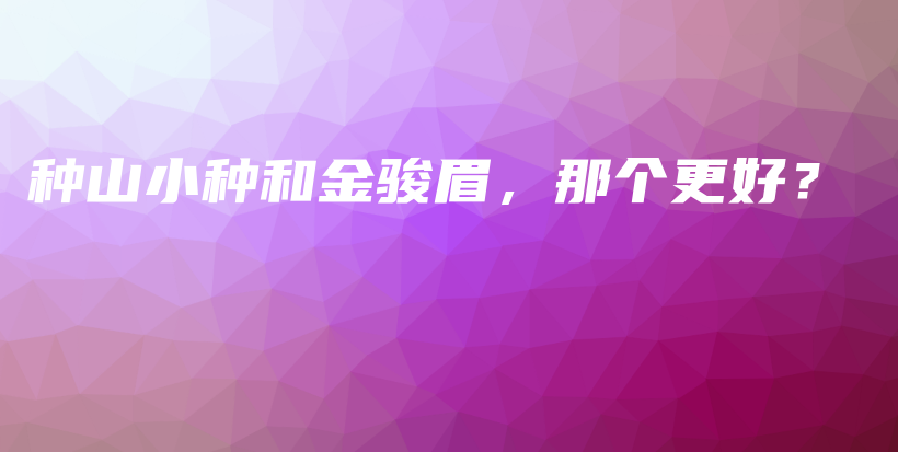 种山小种和金骏眉，那个更好？插图