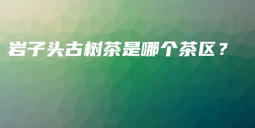 岩子头古树茶是哪个茶区？插图