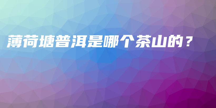 薄荷塘普洱是哪个茶山的？插图