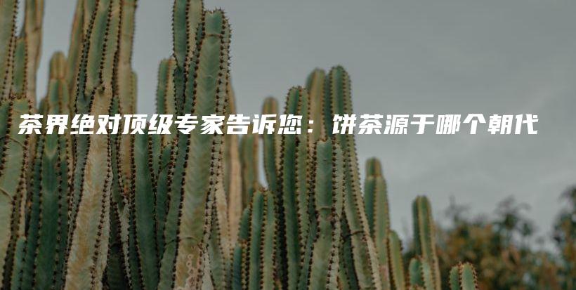 茶界绝对顶级专家告诉您：饼茶源于哪个朝代插图