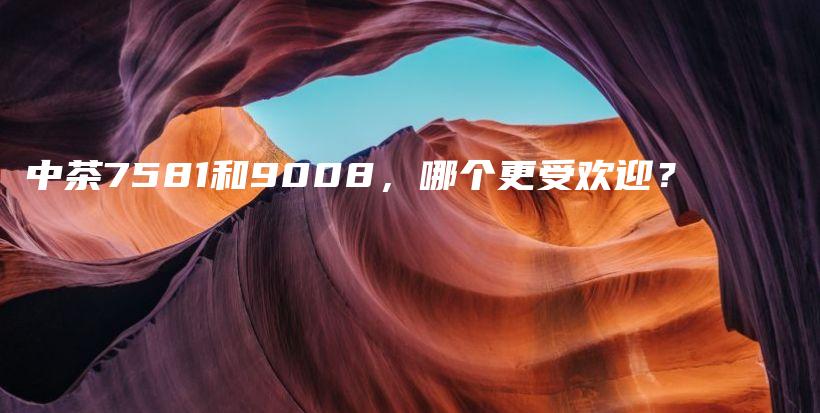 中茶7581和9008，哪个更受欢迎？插图