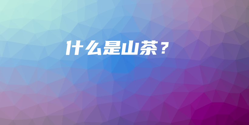 什么是山茶？插图