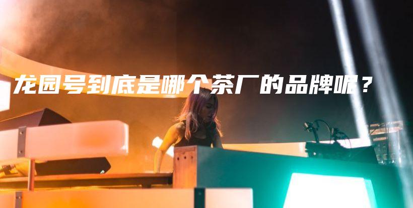龙园号到底是哪个茶厂的品牌呢？插图