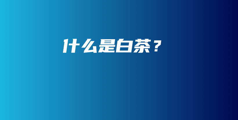 什么是白茶？插图