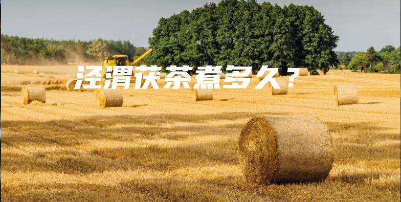 泾渭茯茶煮多久？插图