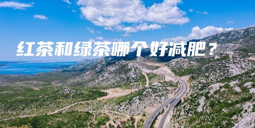 红茶和绿茶哪个好减肥？插图