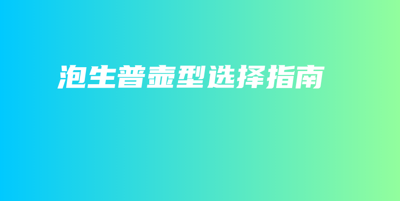 泡生普壶型选择指南插图