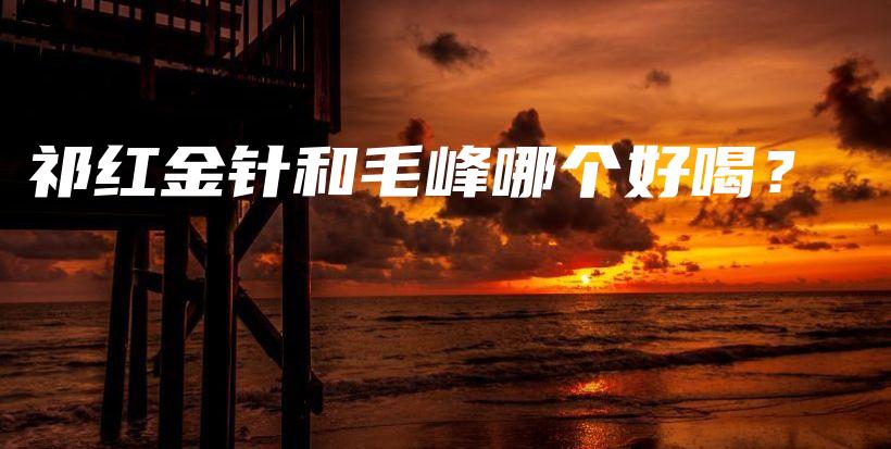 祁红金针和毛峰哪个好喝？插图