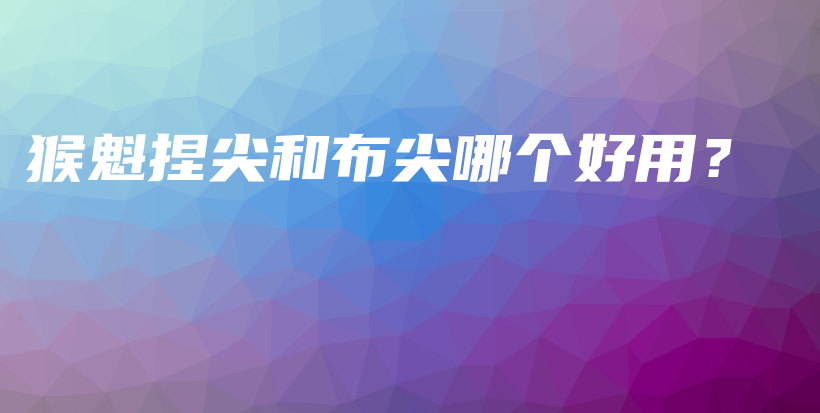 猴魁捏尖和布尖哪个好用？插图