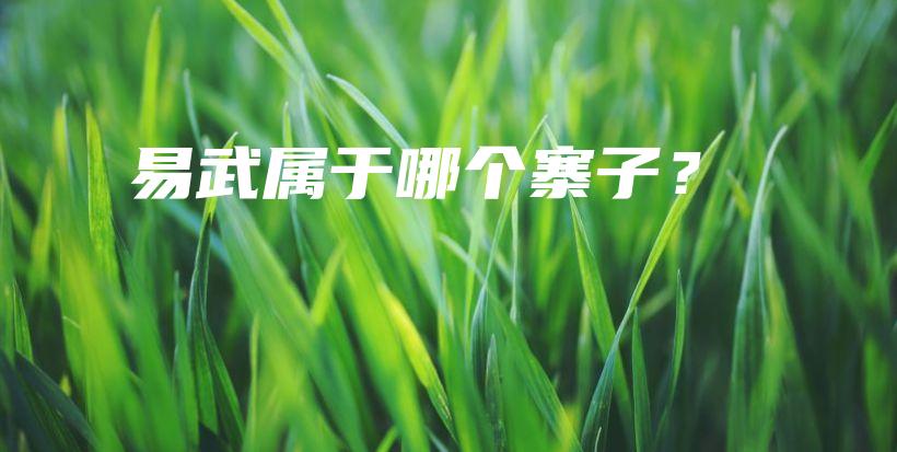 易武属于哪个寨子？插图