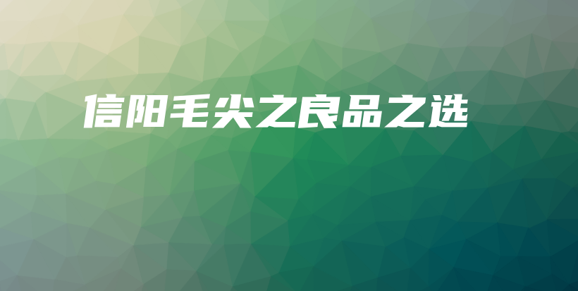 信阳毛尖之良品之选插图