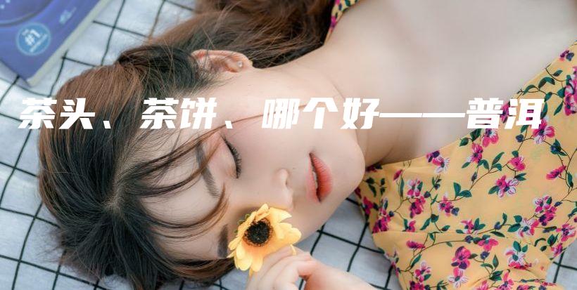 茶头、茶饼、哪个好——普洱插图