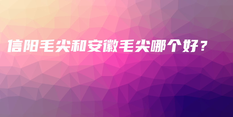 信阳毛尖和安徽毛尖哪个好？插图