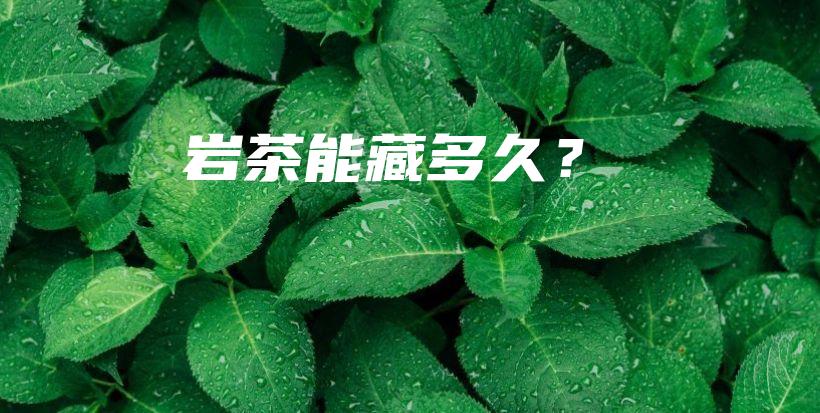岩茶能藏多久？插图