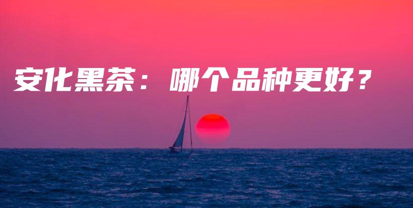 安化黑茶：哪个品种更好？插图