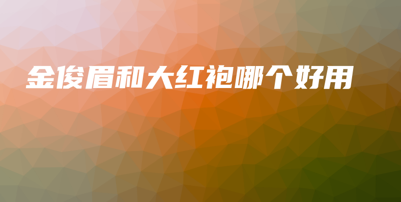 金俊眉和大红袍哪个好用插图