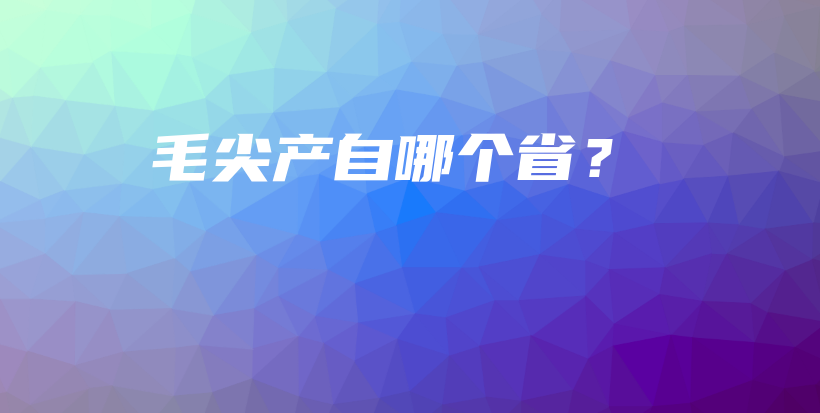 毛尖产自哪个省？插图