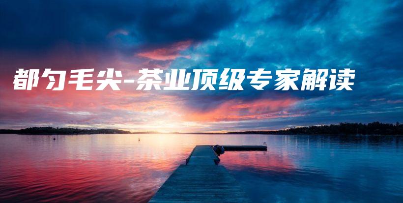 都匀毛尖-茶业顶级专家解读插图