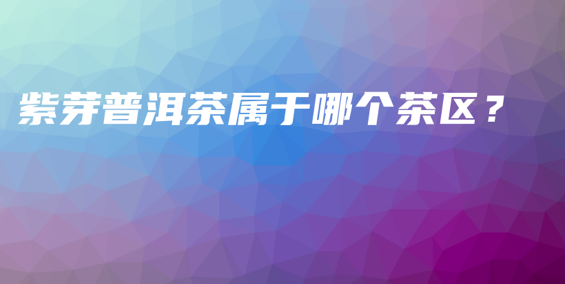 紫芽普洱茶属于哪个茶区？插图