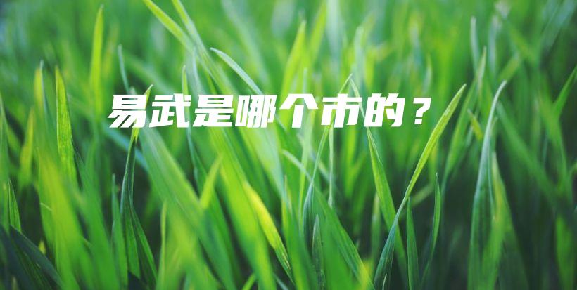 易武是哪个市的?插图 易武是哪个市的?插图