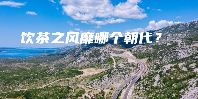 饮茶之风靡哪个朝代？插图