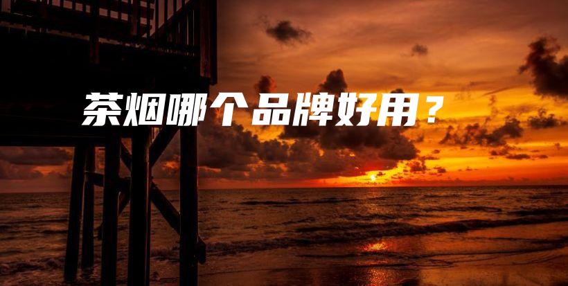 茶烟哪个品牌好用？插图