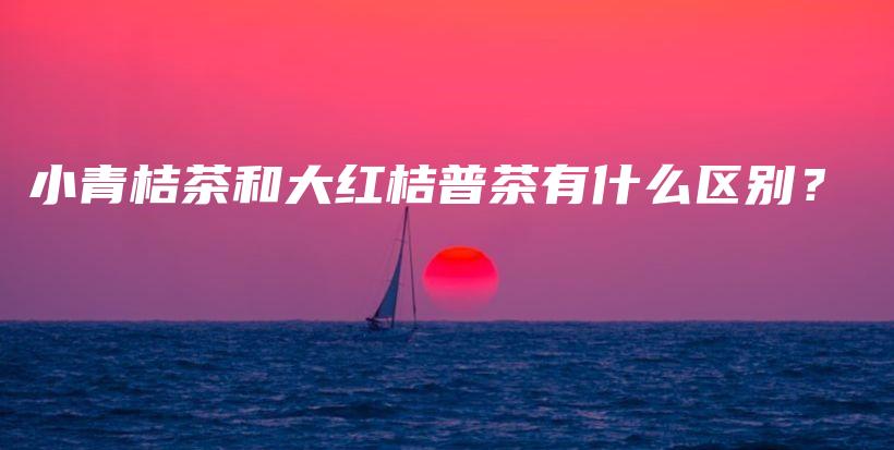 小青桔茶和大红桔普茶有什么区别?插图 小青桔茶和大红桔普茶有什么区别?插图