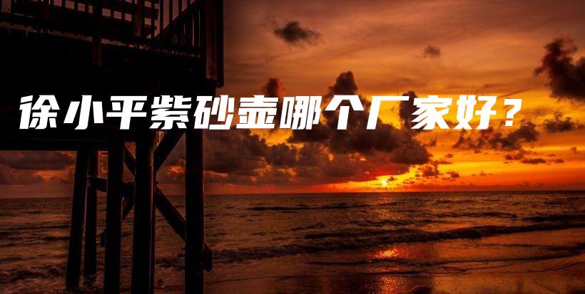 徐小平紫砂壶哪个厂家好？插图