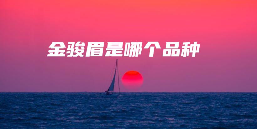 金骏眉是哪个品种插图