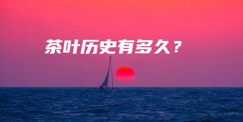 茶叶历史有多久？插图