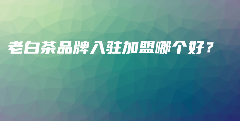老白茶品牌入驻加盟哪个好？插图
