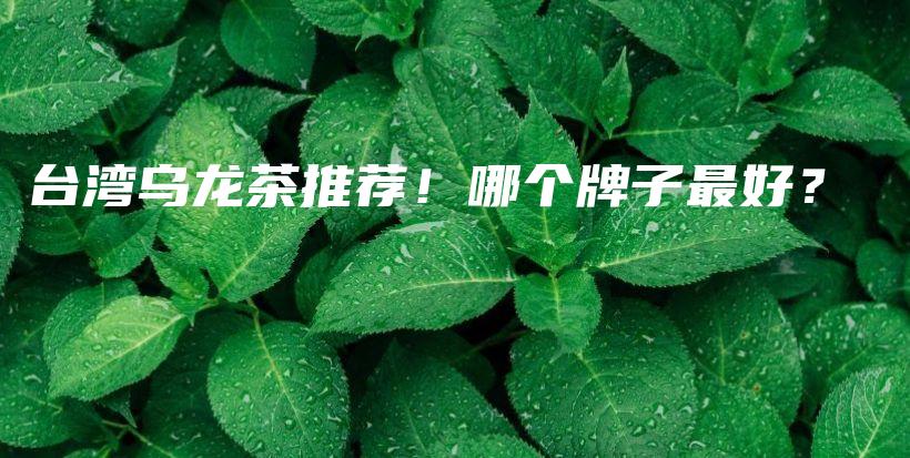 台湾乌龙茶推荐！哪个牌子最好？插图