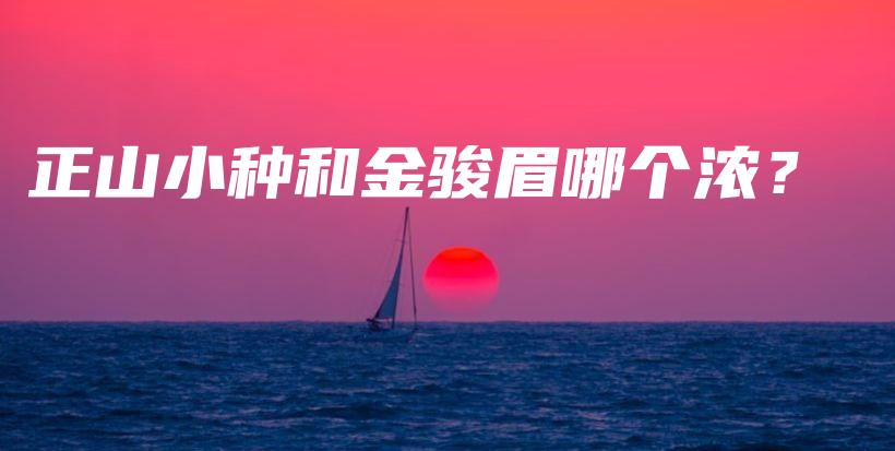 正山小种和金骏眉哪个浓？插图