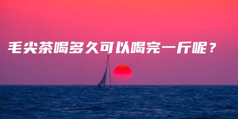 毛尖茶喝多久可以喝完一斤呢？插图