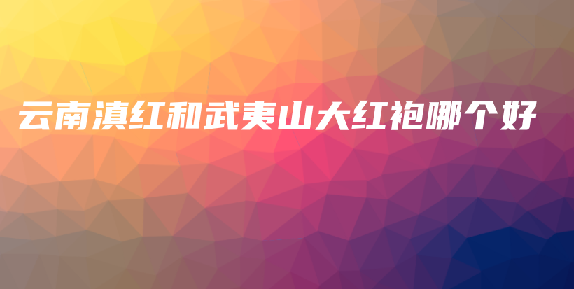 云南滇红和武夷山大红袍哪个好插图