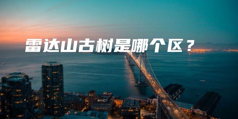 雷达山古树是哪个区？插图