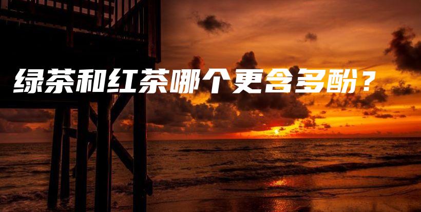 绿茶和红茶哪个更含多酚?插图 绿茶和红茶哪个更含多酚?插图