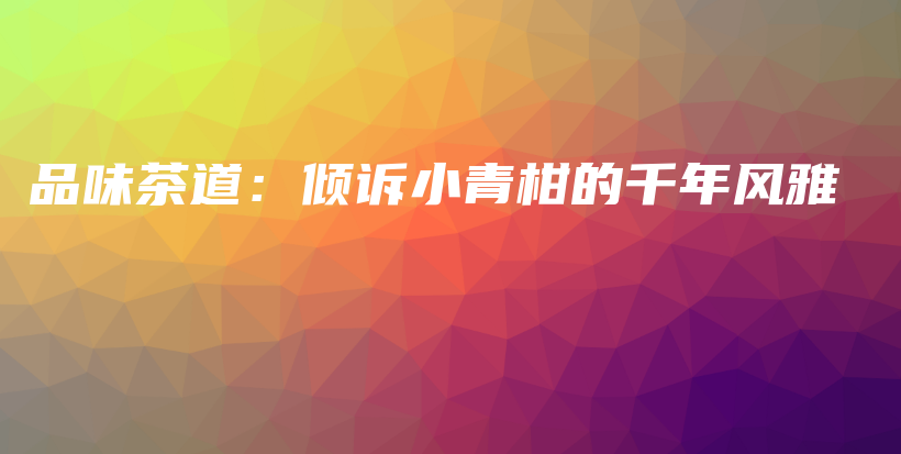 品味茶道：倾诉小青柑的千年风雅插图