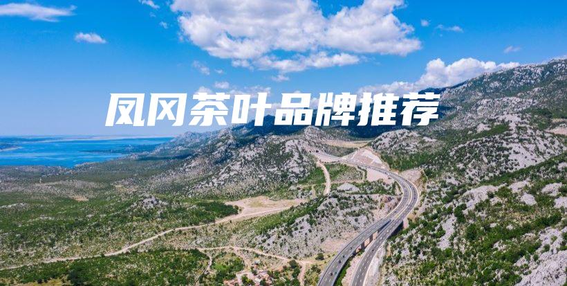 凤冈茶叶品牌推荐插图