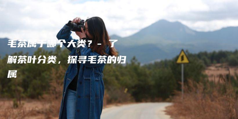 毛茶属于哪个大类？- 了解茶叶分类，探寻毛茶的归属插图