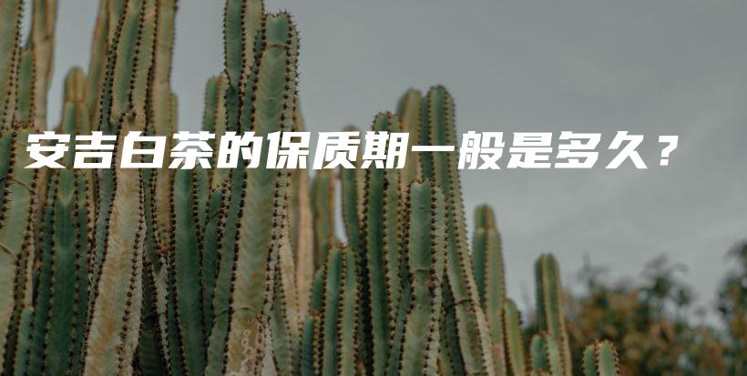 安吉白茶的保质期一般是多久？插图