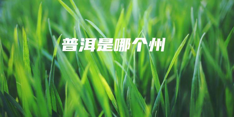 普洱是哪个州插图