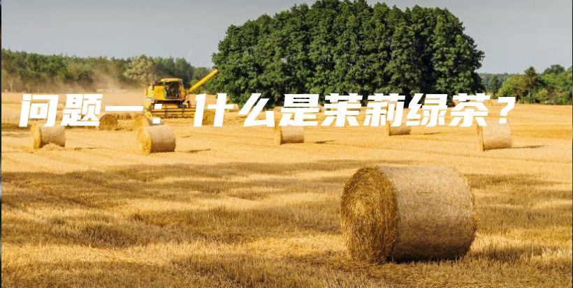 问题一：什么是茉莉绿茶？插图