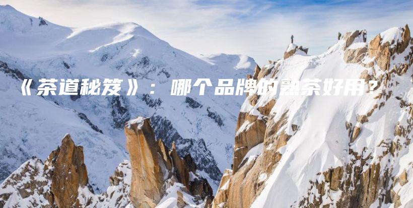 《茶道秘笈》：哪个品牌的熟茶好用？插图