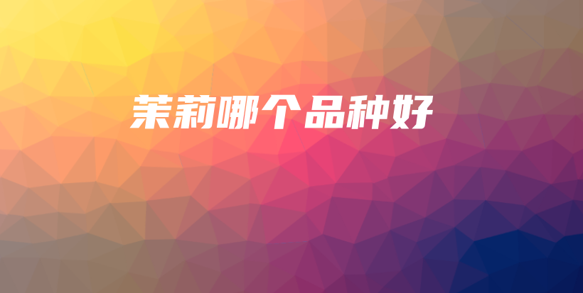 茉莉哪个品种好插图