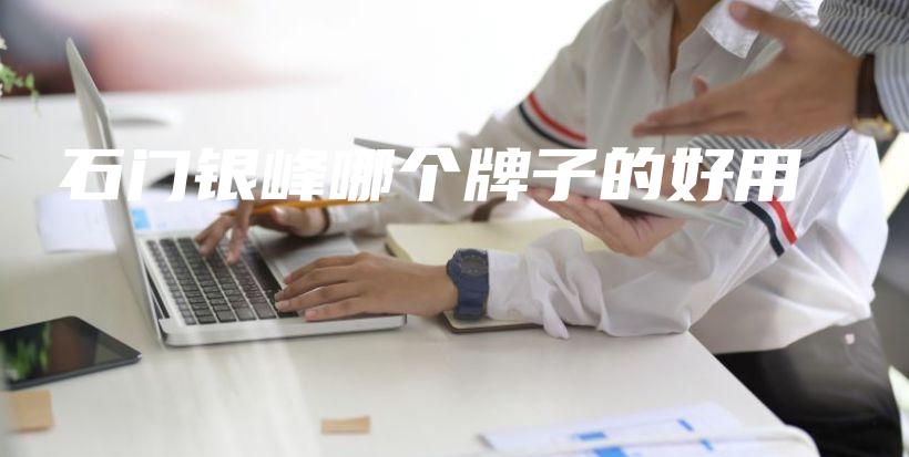 石门银峰哪个牌子的好用插图
