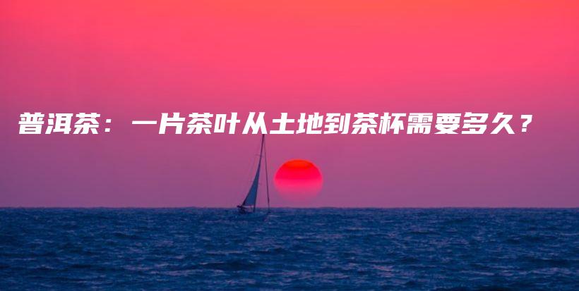 普洱茶：一片茶叶从土地到茶杯需要多久？插图