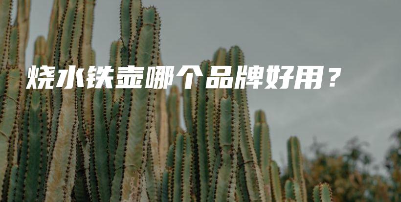 烧水铁壶哪个品牌好用？插图